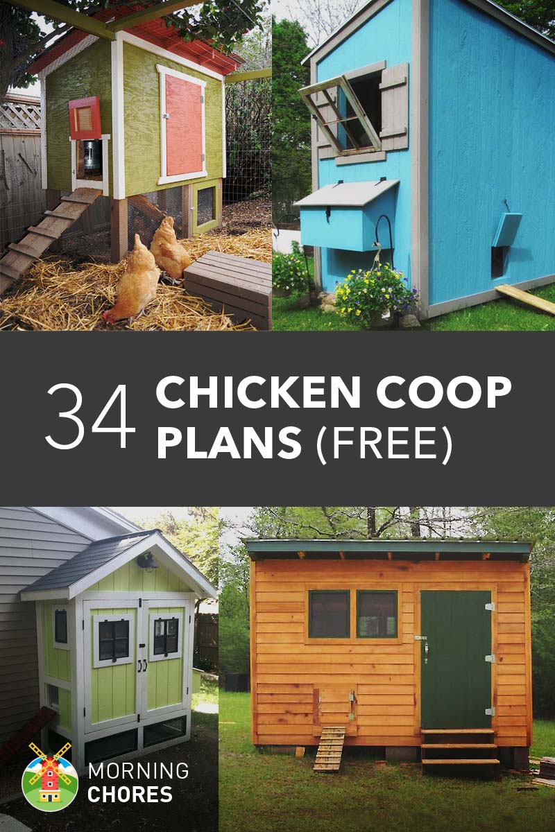 34 DIY Chicken Coop Plans that are Easy to Build (100% Free)