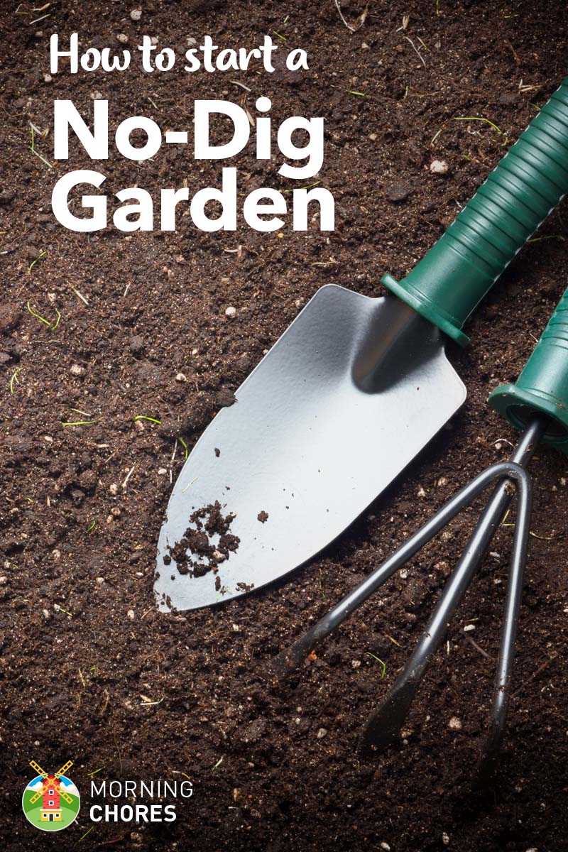 How to Start a 'No Dig' Garden That Won't Break Your Back (and Your Wallet)