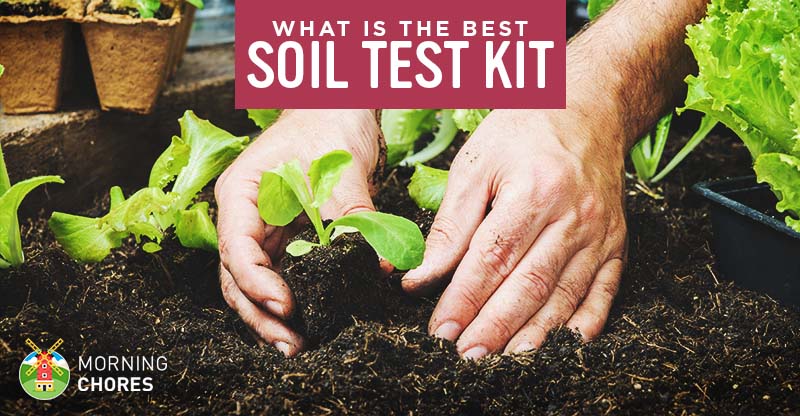 5 Best Soil Test Kits for Your Garden or Lawn - Reviews ...