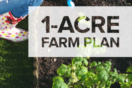 1-Acre Farm Plan: Here’s What to Plant, Raise, and Build on A Smaller Land
