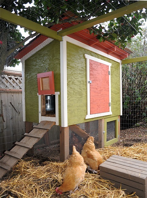 Backyard Chicken Coop Chicken Coop Plans Easy DIY Comfy Coop 4x4 