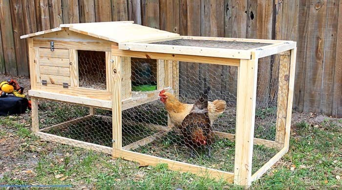 61 Free DIY Chicken Coop Plans & Ideas That Are Easy to Build
