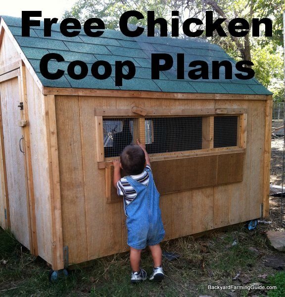 61 Free DIY Chicken Coop Plans and Ideas That Are Easy to Build
