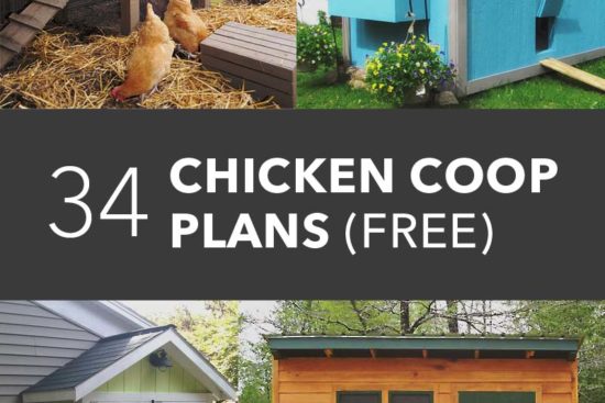 61 Free DIY Chicken Coop Plans & Ideas That Are Easy to Build