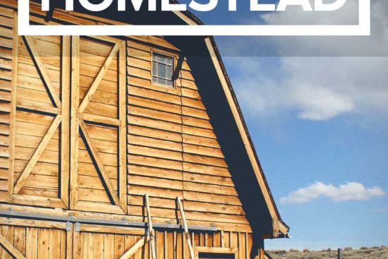 10 Important Things You Should Know Before Starting a Homestead