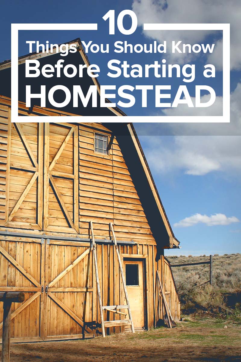 starting a homestead