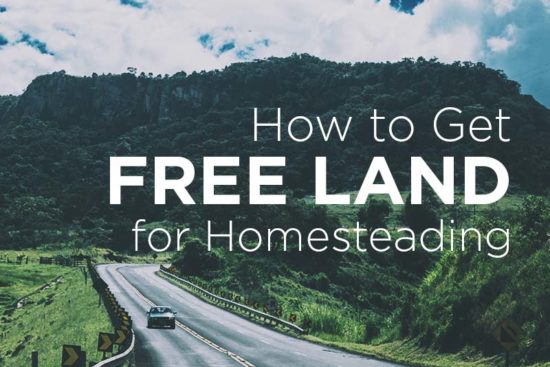 13 Places in the US Where You Can Find Free Land for Your Homestead