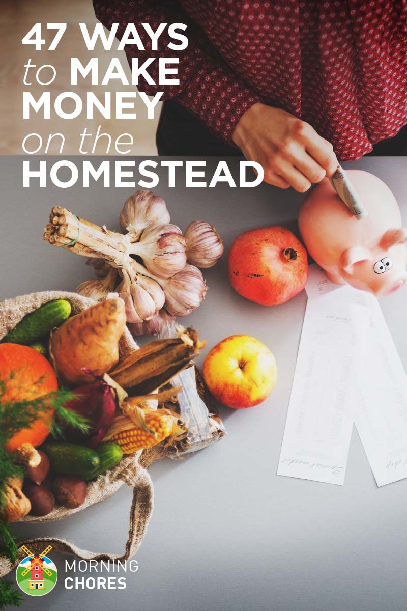 47 Easy Ways To Make Extra Money While Homesteading - 47 ways you can make extra money while homesteading or farming