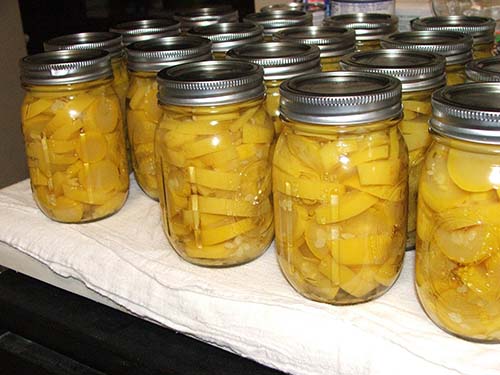 Canning recipes for squash