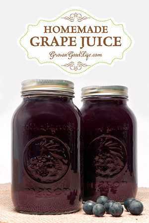 homemade-concord-grape-juice-pin-growagoodlife