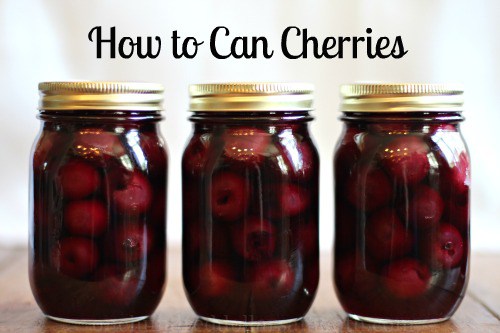 how-to-can-cherries-g