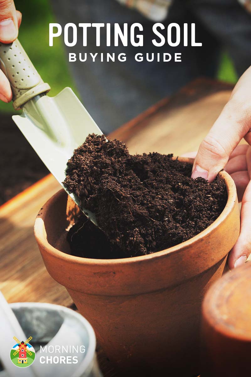 Best Potting Soil Buying Guide Recommendation