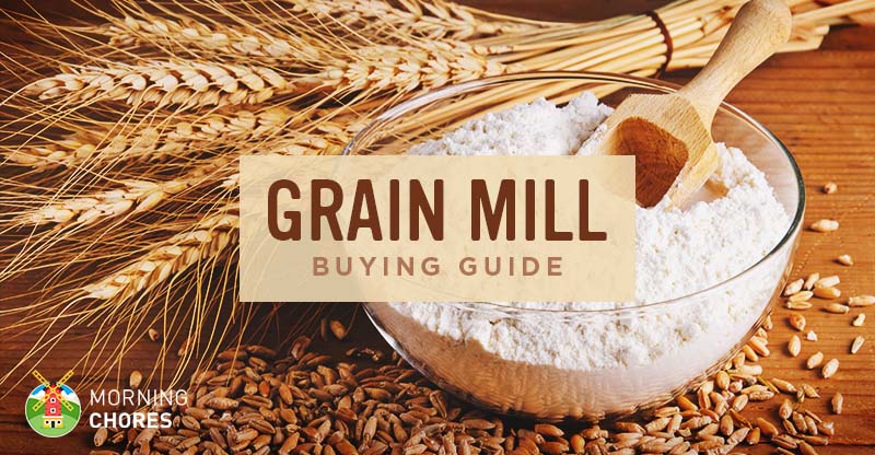 Best Grain Mill for Home Use - Buying Guide and Recommendation