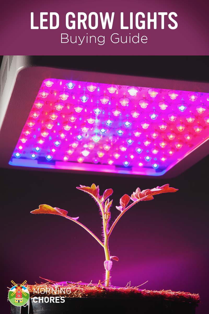 Best LED Grow Lights Buying Guide and