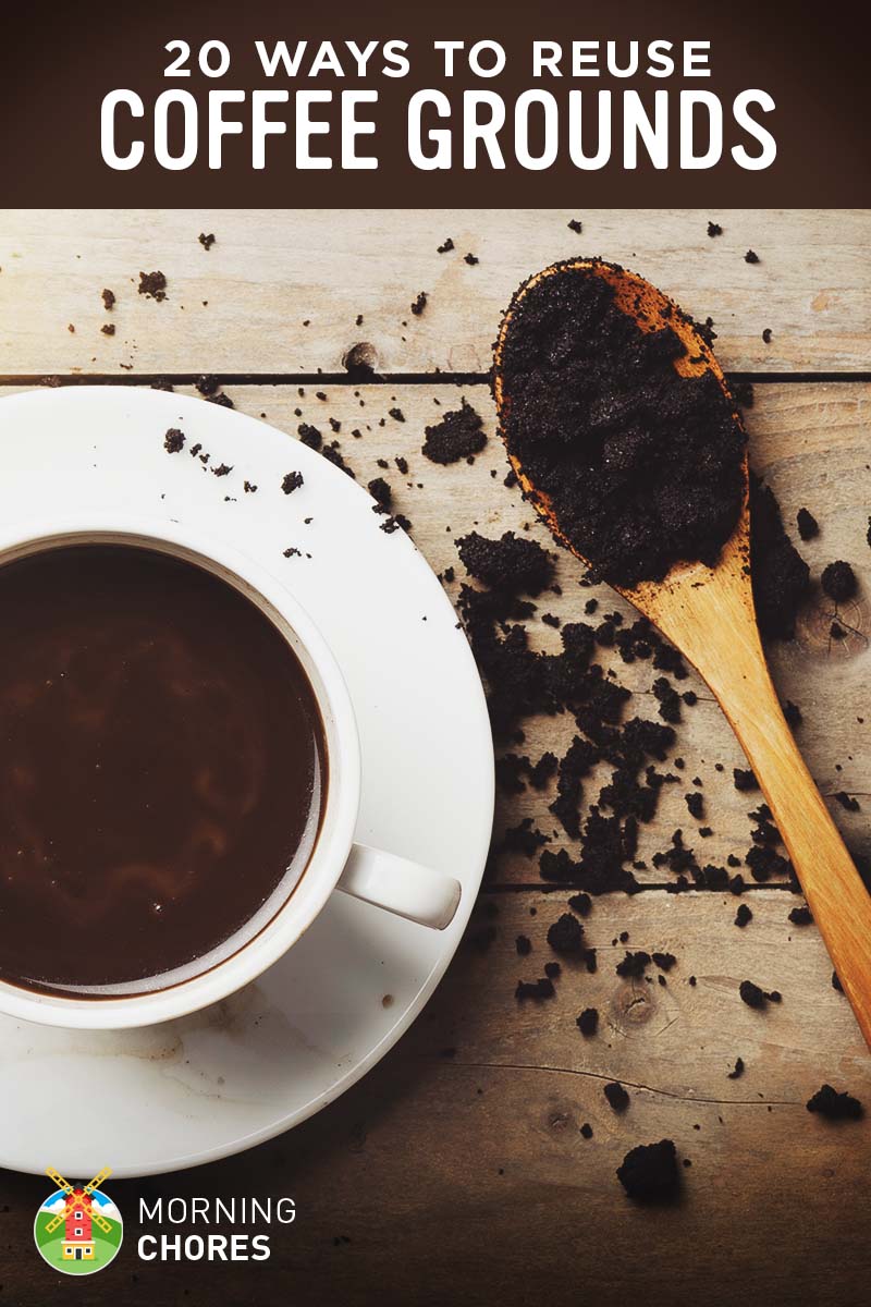 20 Smart Ways To Reuse Coffee Grounds At Your Home And Garden
