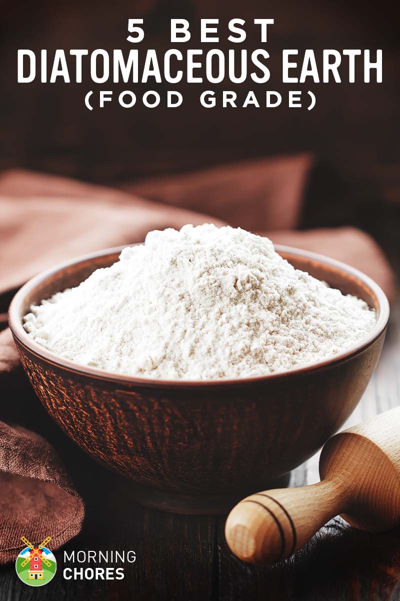 5 Best Diatomaceous Earth Food Grade For Human Consumption