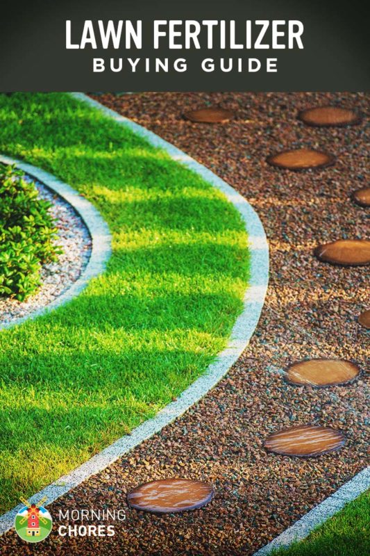 Best Lawn Fertilizer for Grass Buying Guide and
