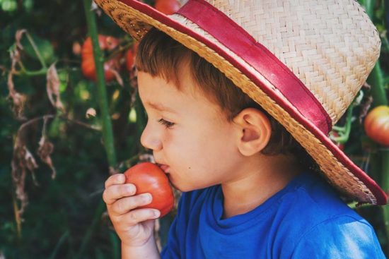 Homesteading with Kids: 10 Tips to Get Your Kids Involved Around the Homestead
