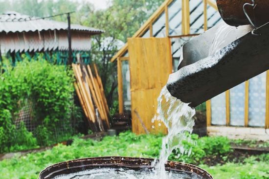23 Awesome DIY Rainwater Harvesting Systems You Can Build at Home
