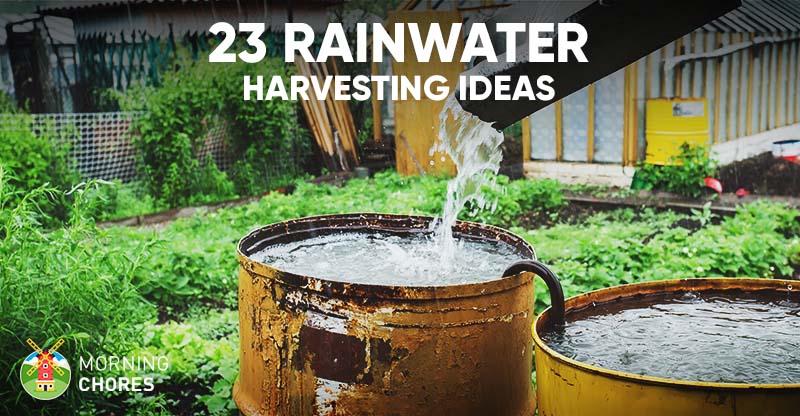 23 Awesome DIY Rainwater Harvesting Systems You Can Build at Home