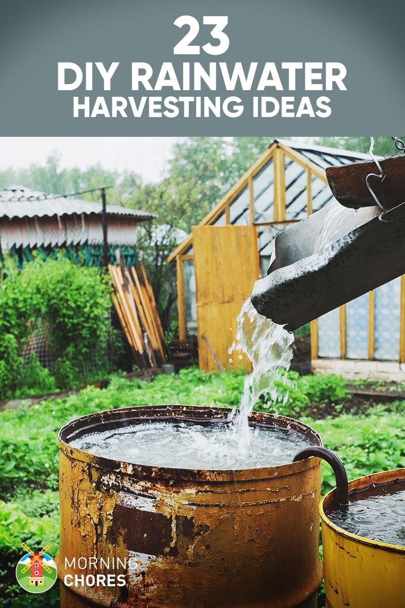 23 Awesome DIY Rainwater Harvesting Systems You Can Build At Home