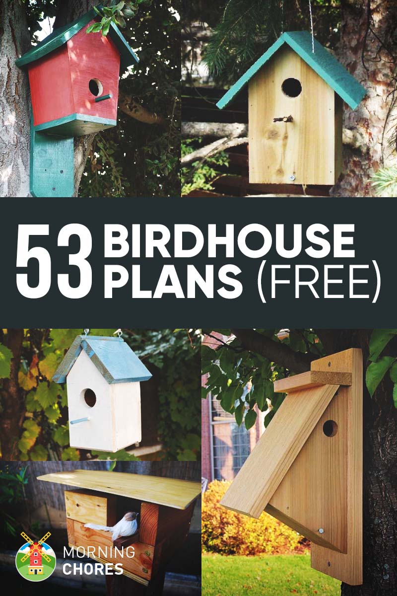 53 DIY Bird House Plans that Will Attract Them to Your Garden