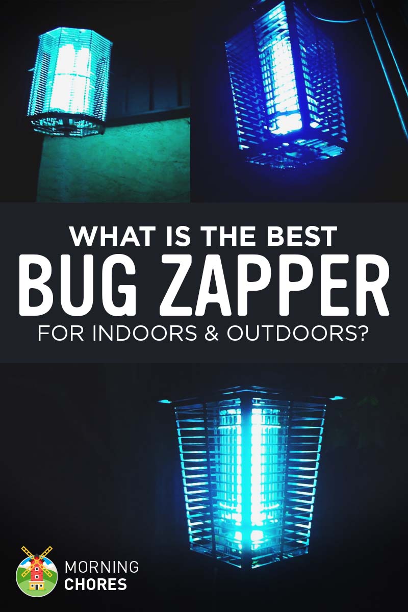 best indoor fly zapper