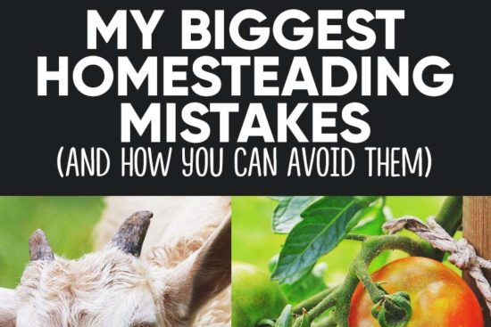 8 Dreadful Mistakes I Made When Creating My Dream Homestead (and How to Avoid Them)