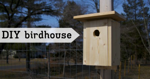 Simple birdhouse plans