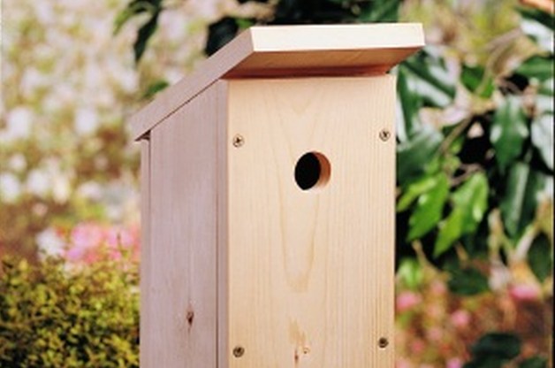 birdhouse plans