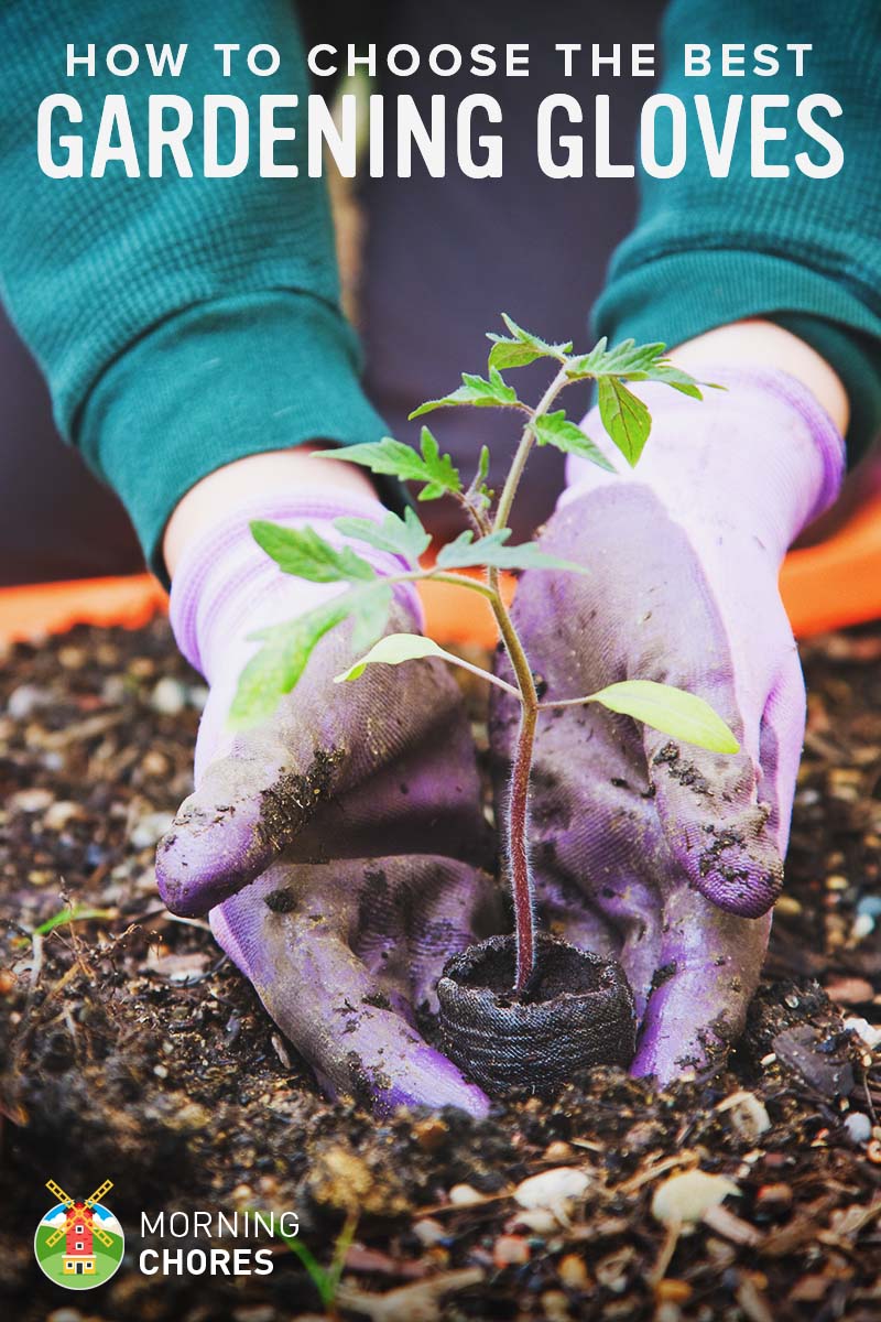 What are the Best Gardening Gloves? Here are Our Top 5 Reviews