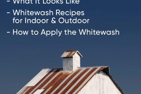 Whitewashing: The Benefits, Recipes, How to Paint, and All Else You Need to Know