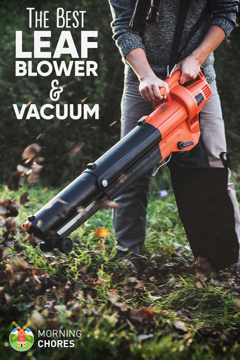 10 Best Leaf Blower and Vacuum