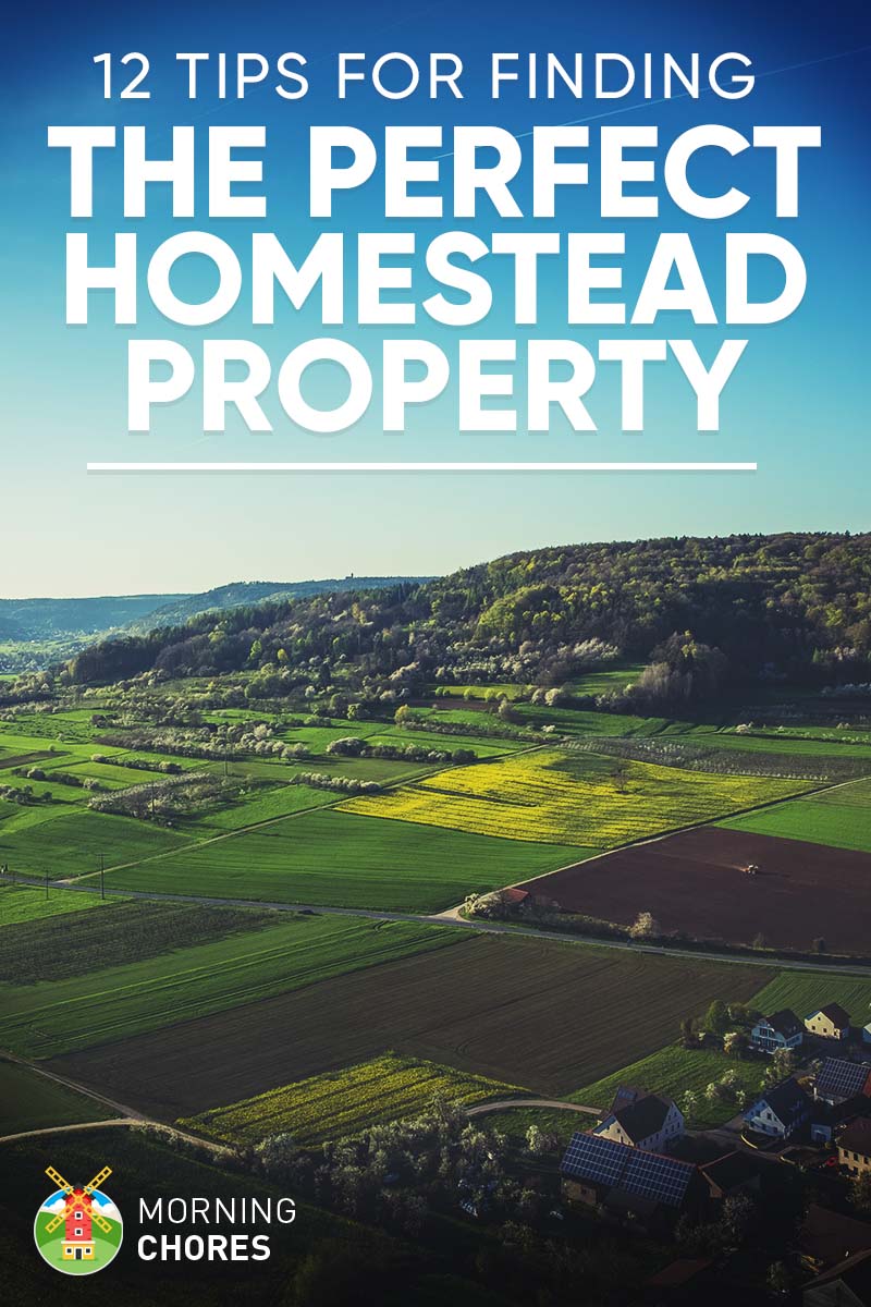 12 Tips for Finding the Ideal Homestead Land and Property