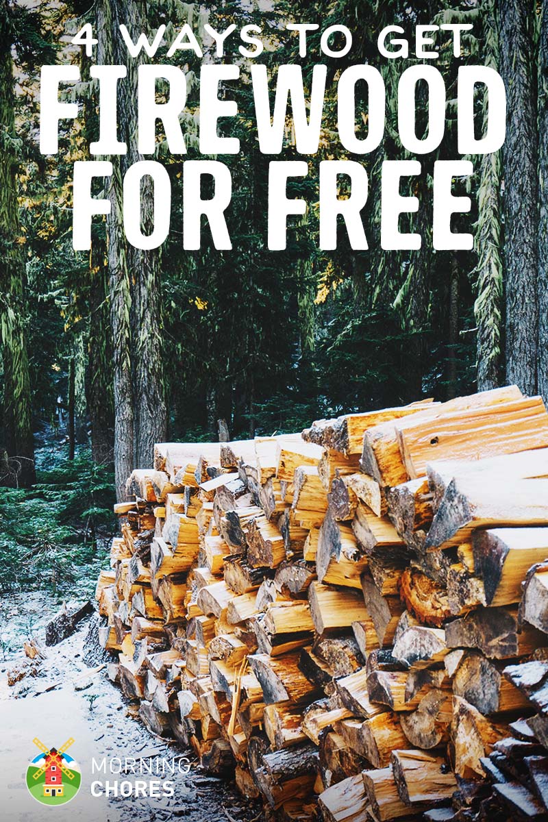 4 Ways to Get Free Firewood this Winter