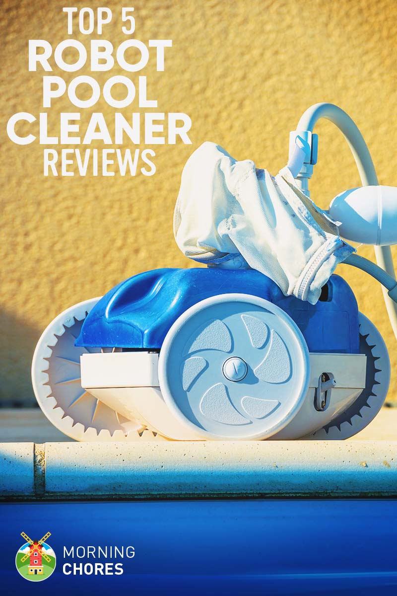 5 Best Robotic Pool Cleaner for the Money