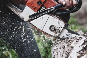 7 Best Chainsaw to Buy for the Money