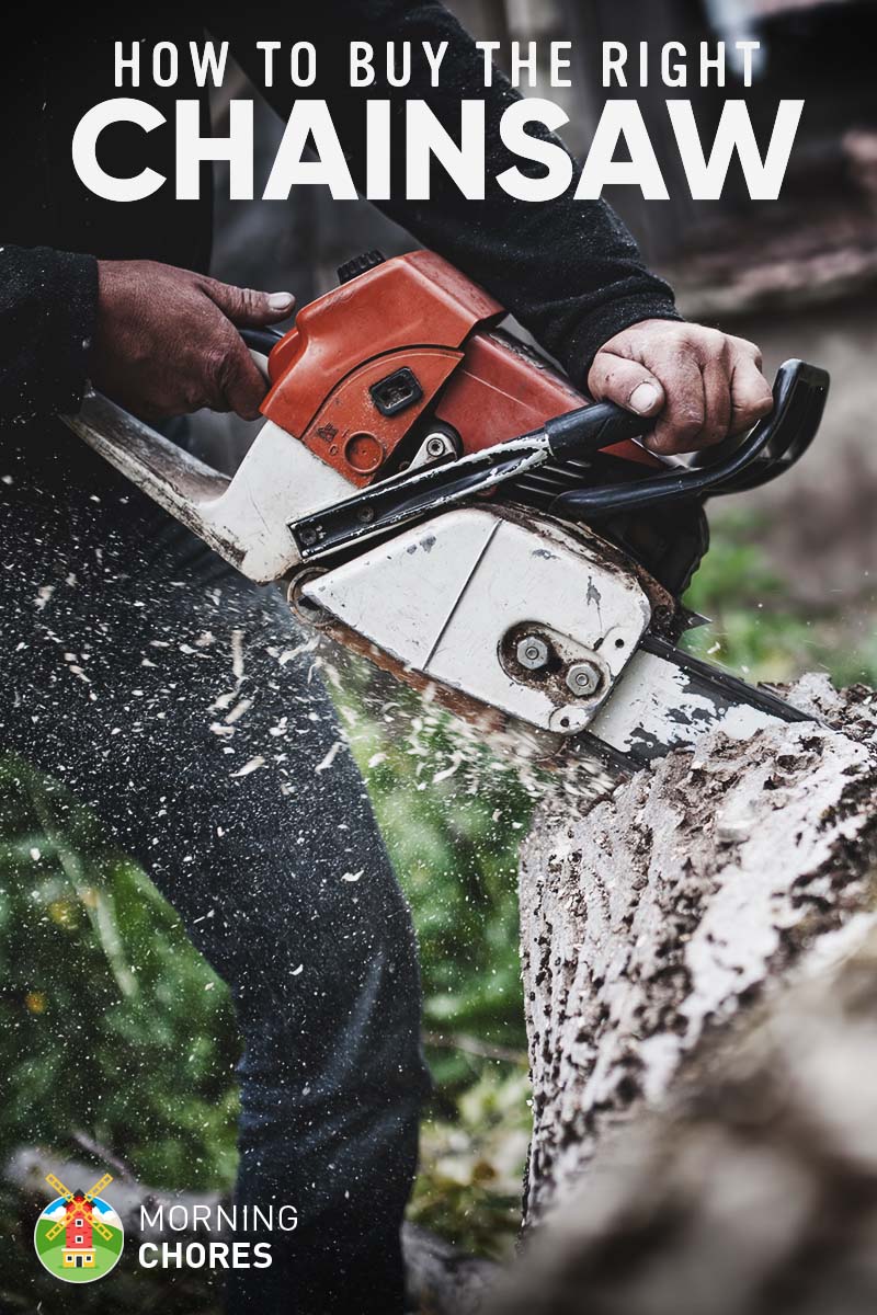 7 Best Chainsaw to Buy for the Money