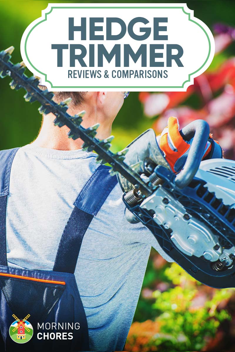 8 Best Hedge Trimmer Reviews and Comparisons