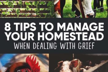 8 Tips to Manage Your Homestead When Dealing with Grief