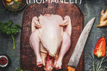 How to Butcher a Chicken Humanely