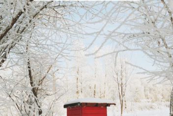How to Prepare Beehives to Stay Alive in the Winter