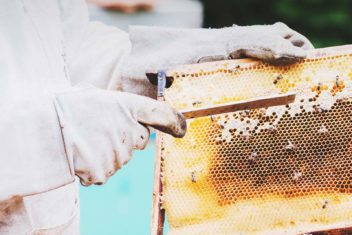 10 Tips for Cleaning Your Beekeeping Equipment