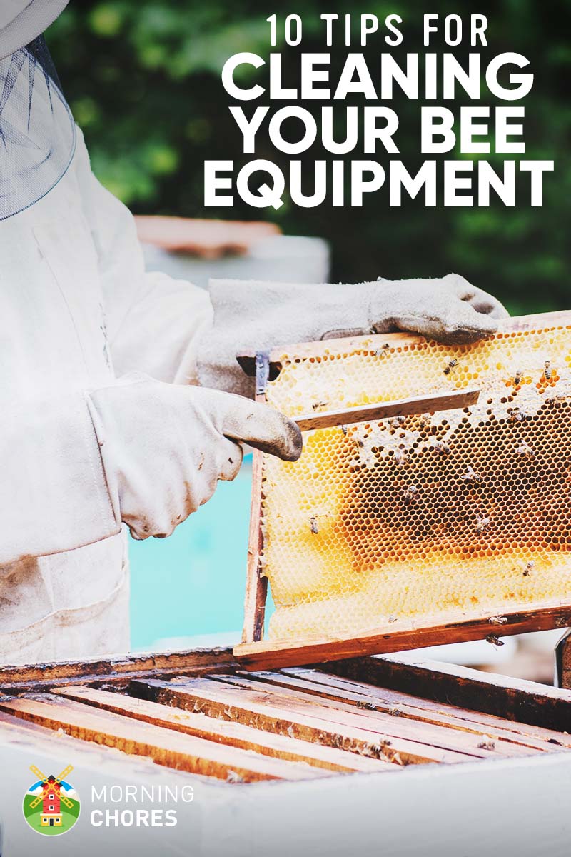 10 Tips for Cleaning Your Beekeeping Equipment