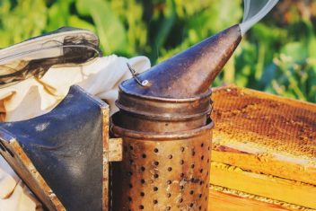 15 Essential Beekeeping Equipment and Supplies