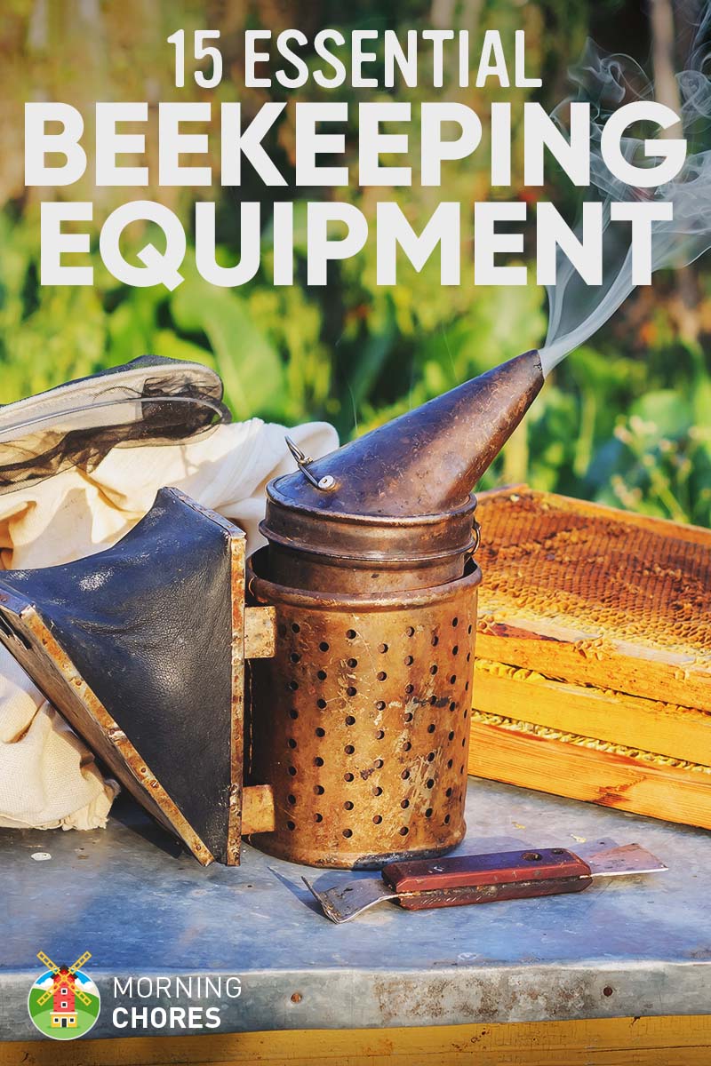 15 Essential Beekeeping Equipment and Supplies