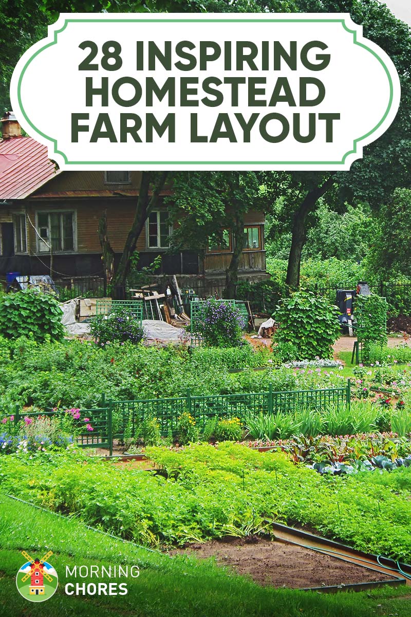 28 Farm Layout Design Ideas to Inspire Your Homestead