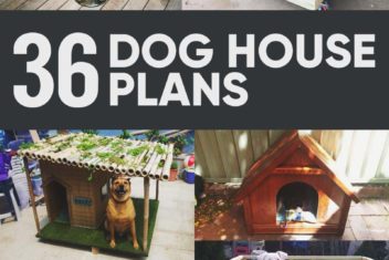 36 Free DIY Dog House Plans and Ideas