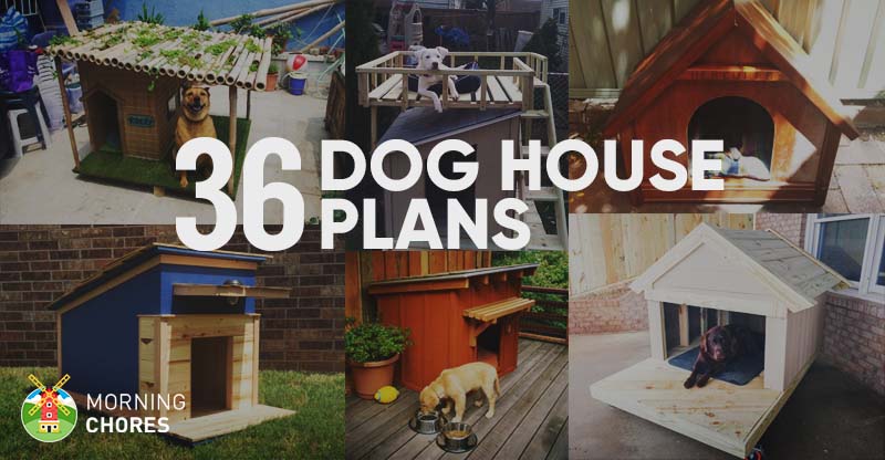 36 Free Diy Dog House Plans Ideas For