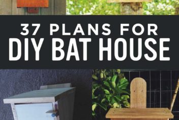 37 Free DIY Bat House and Bat Box Plans
